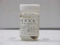 藏品(細紋鰏)的圖片